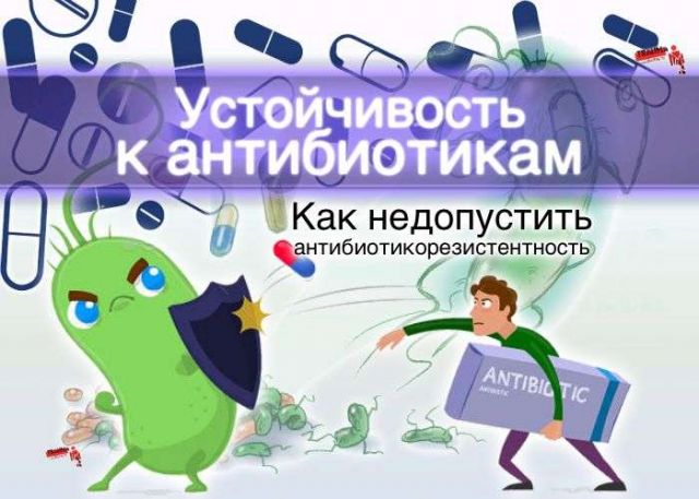 Антибиотик Главная 1