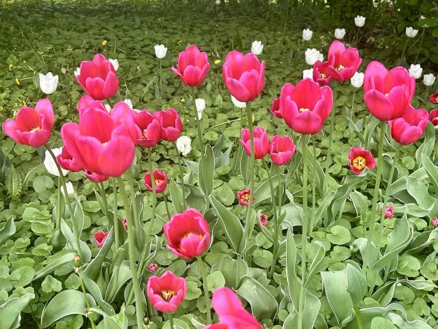 18052026otkr